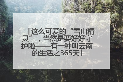 这么可爱的“雪山精灵”，当然是要好好守护啦——有一种叫云南的生活之365天